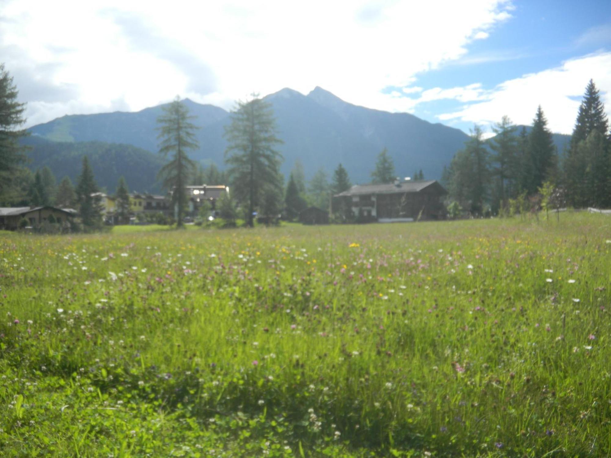 Landhaus Charlotte Am Geigenbuehel -Apartments Seefeld in Tirol Exteriör bild