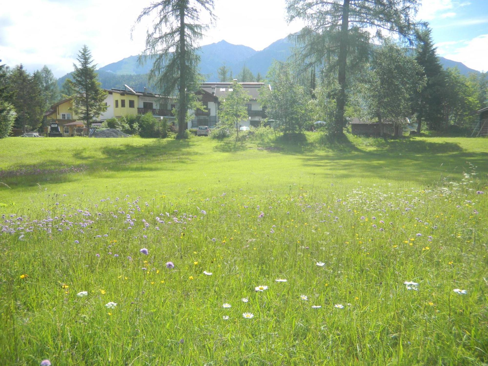 Landhaus Charlotte Am Geigenbuehel -Apartments Seefeld in Tirol Exteriör bild